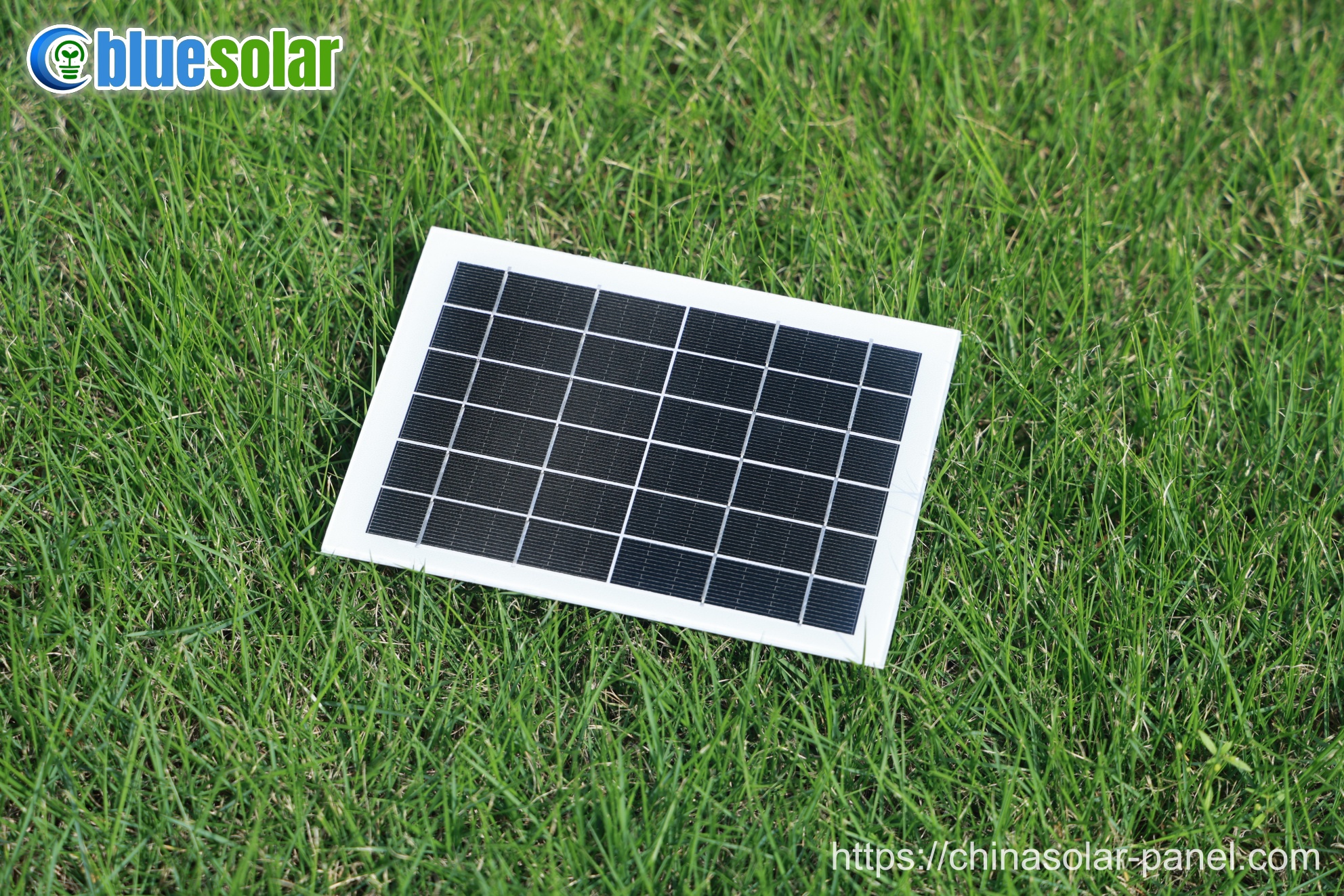custom solar module - China Blue Solar